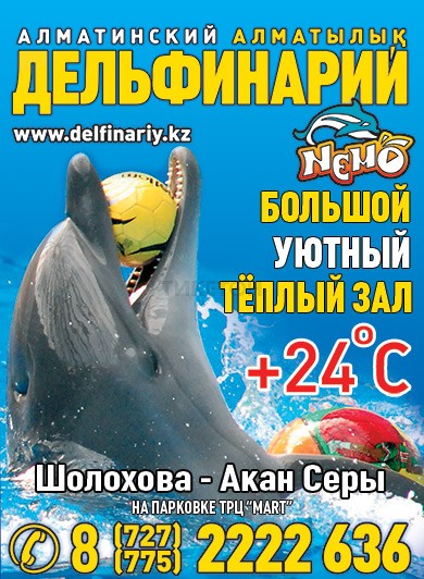 Билеты дельфинарий владивосток. Астана дельфинарий. Немо дельфинарий в Ташкенте. Передвижной дельфинарий афиша. Билет в дельфинарий Владивосток.