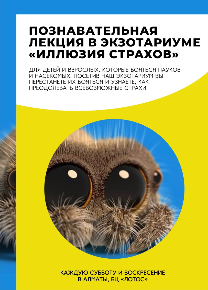 Иллюзия страхов - Система онлайн-покупки билетов в кино и на концерты  Ticketon.kz