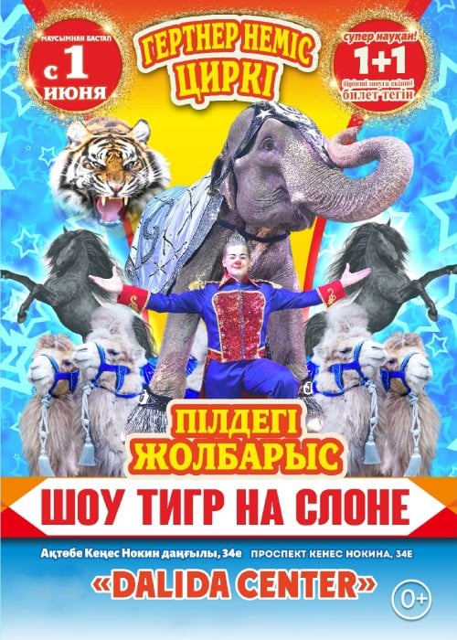 The Gertner Circus. Tiger on elephant show in Aktobe