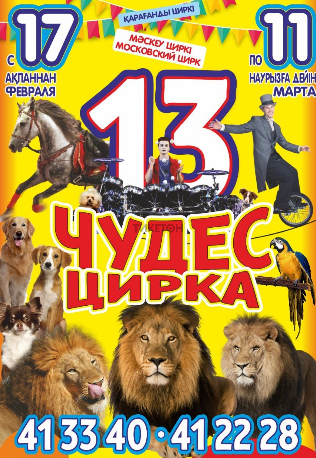 13 чудес цирка